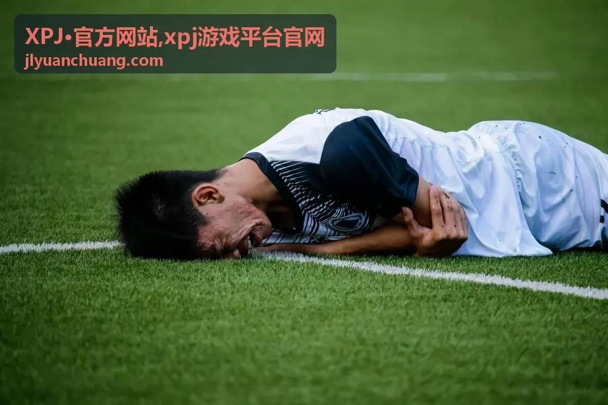 XPJ·官方网站平台入口说明封面