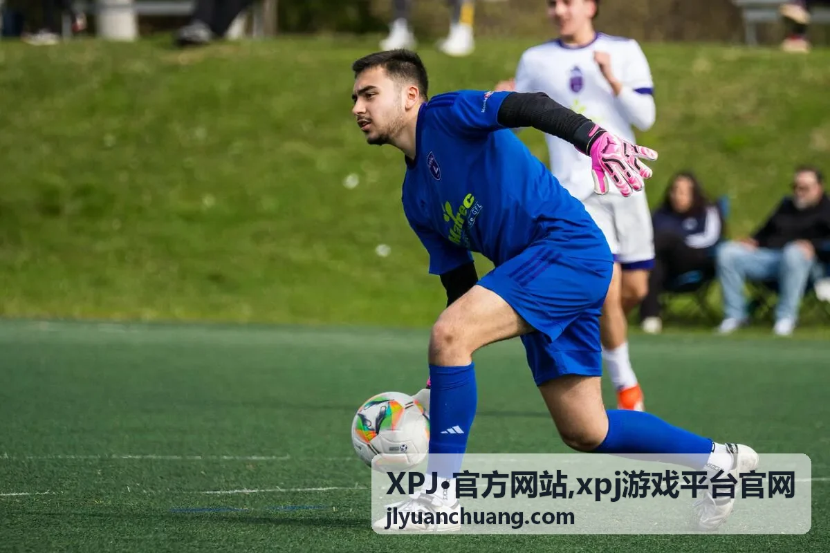 XPJ·官方网站移动端浏览流程提示