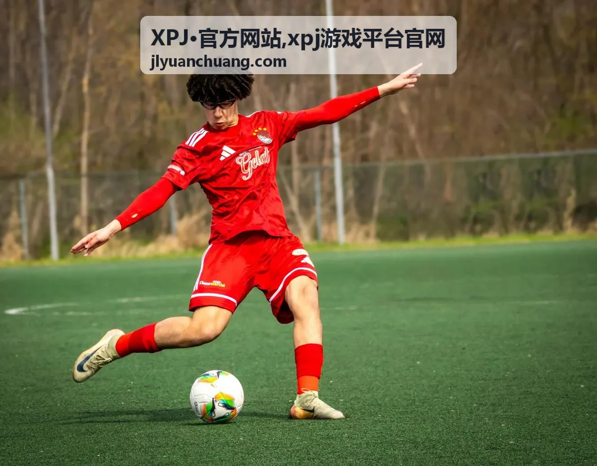 XPJ·官方网站官网访问指南分类封面
